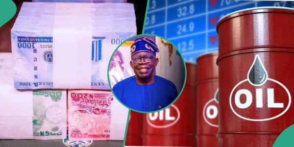 Fuel Scarcity: ‘Petrol Price Will Rise To ₦1,200/Litre, Naira To Hit ₦1,550/$’