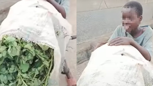 Nigeria’s Teen Reveals Family Eat Grass To Survive Amid Economic Crisis