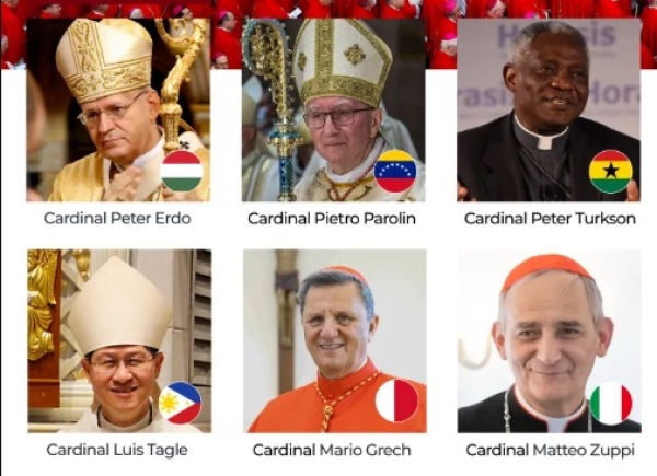 10 cardinals who might succeed Pope Francis