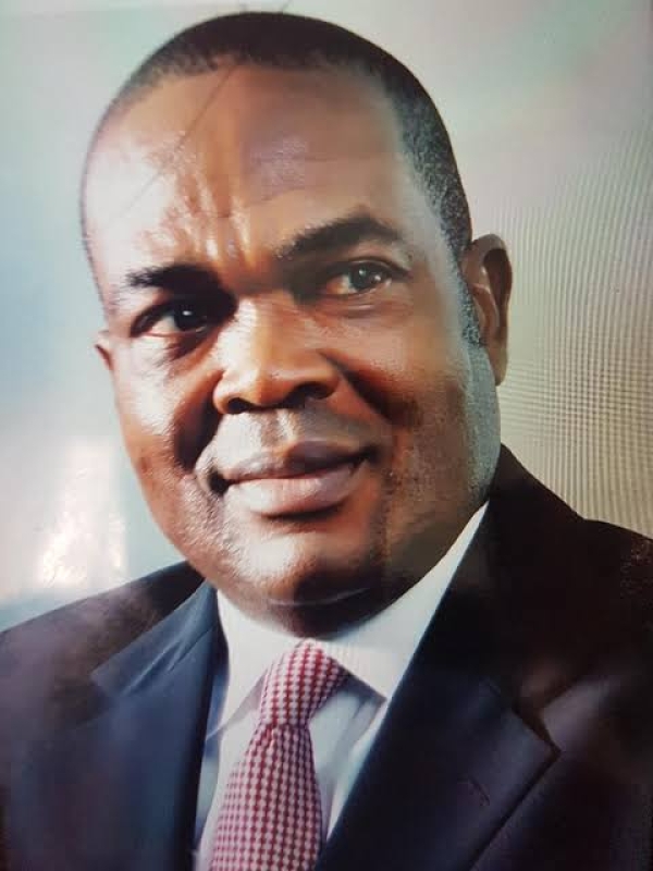 [OPINION] Nigeria: Another Attempt at Import Substitution Strategy? - Marcel Okeke