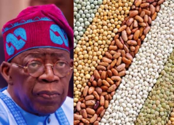 Half of Nigerians spend entire income on food as Tinubu’s economic policies bite deeper - Report