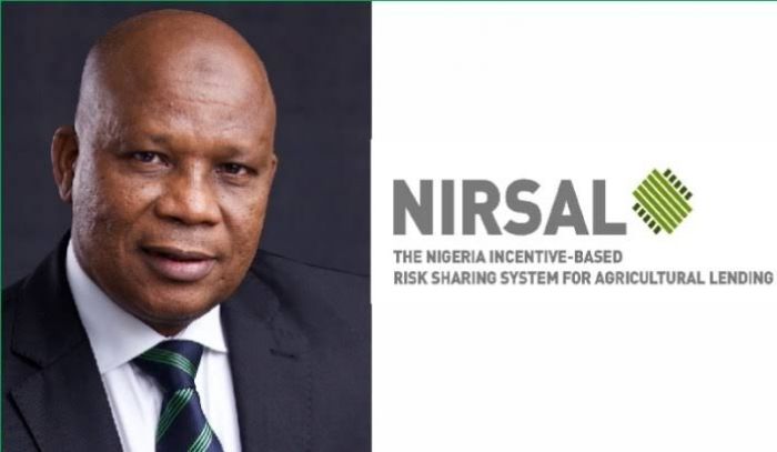 N5.6bn Wheat Project Scam: Ex-NIRSAL Boss Arrested 11 Months After Sacking