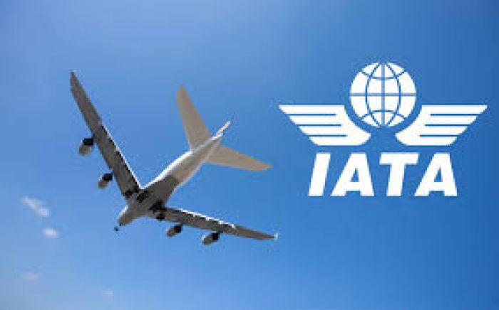 Some foreign airlines may quit Nigeria, IATA warns FG