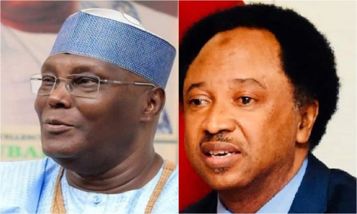 AFCON 2023: Not expected result – Atiku, Shehu Sani react to Super Eagles’ defeat