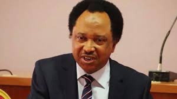 Avoid falling into nepotism trap, Shehu Sani cautions Tinubu