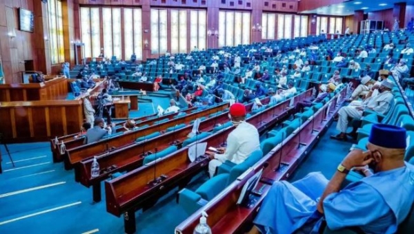 Electoral Act: Reps Move to Make Voting Compulsory For All Nigerians
