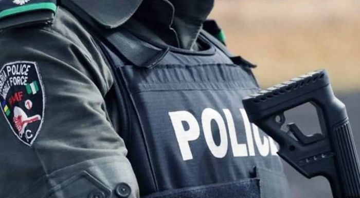 Police Arrest Kano Gov&#039;s Aide, One Other For Allegedly Diverting Palliatives