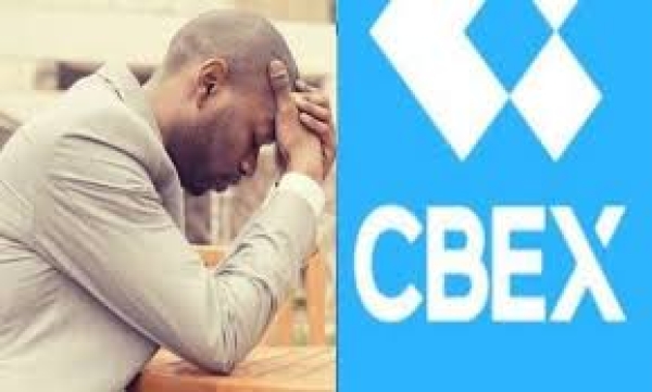 [OPINION] Nigerian leaders as CBEX Ponzi chancers - Festus Adedayo