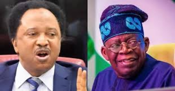 Tinubu will remain unpopular until his policies start producing results –Shehu Sani