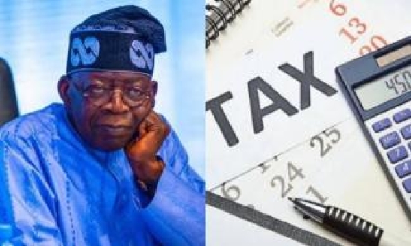 Tax reform: Your govt has displayed troubling disregard for patriotic voices – Northern elders tell Tinubu