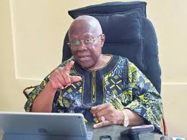 Don’t stop protest, provide security, sue for peace — Bode George advises FG