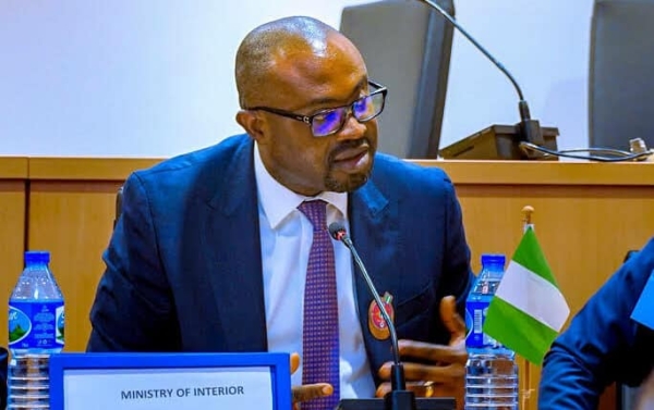 Visa overstayers risk $15 daily fine, lifetime ban from August - FG