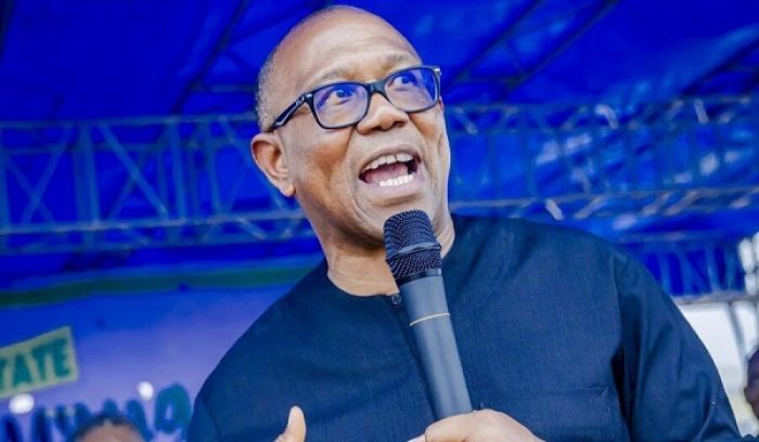 A Country Will Not Survive If Government Officials Are Richer Than Businessmen And Manufacturers – Peter Obi