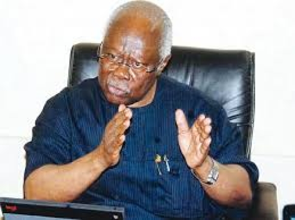APC has no structure; it’s a one-man show — Bode George