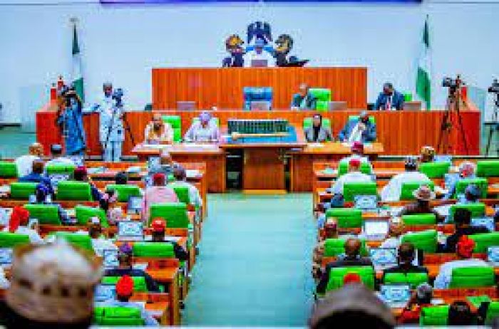 Reps Query CBN, Banks, FIRS, Others Over N15bn Remita Transactions