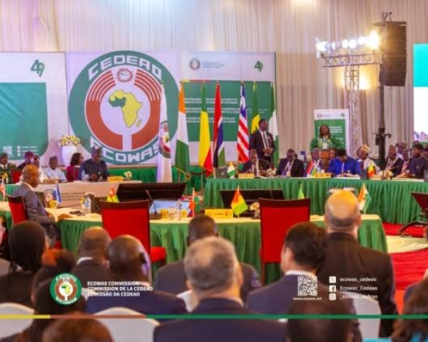 [OPINION] Battered ECOWAS applies cosmetic make-up - Owei Lakemfa