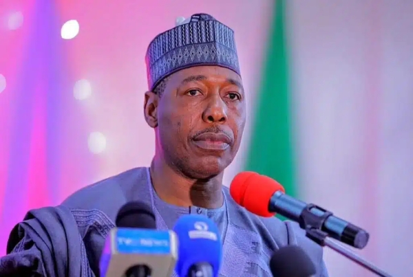 Zulum Reveals Real Reason Behind Rejection Of Tinubu’s Tax Reform By Northern Governors