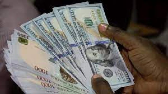 Why Nigeria’s Forex Crisis Persists