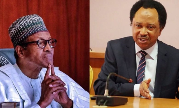 North silent under Buhari because it benefitted from nepotism, says Shehu Sani