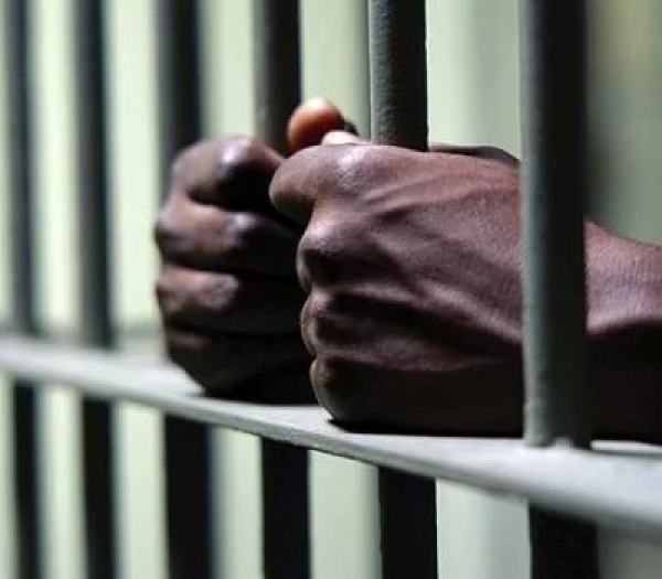 3 Nigerians bag jail term in US for $2m fraud scheme targeting elderly, vulnerable individuals