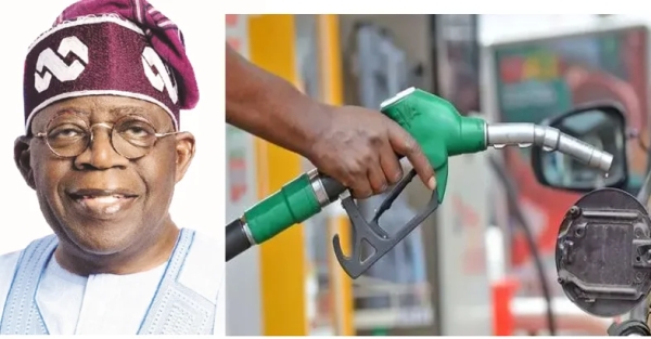 Nigerians Should Blame Themselves For Subsidy Removal – APC