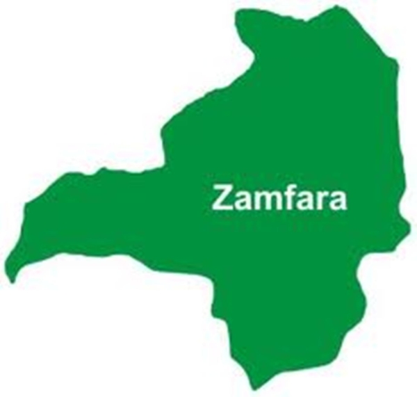 ‘Calls for state of emergency in Zamfara ill-conceived’