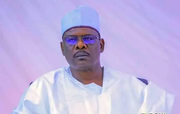 You Are Confusing Yourself With Tax Reform Bills, It Contradicts The Constitution – Ndume To Presidency