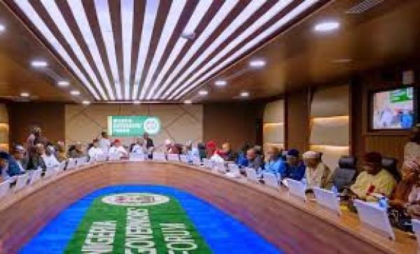 Danger: State Governors Are Blocking Local Government Financial Autonomy - Peasant Empowerment