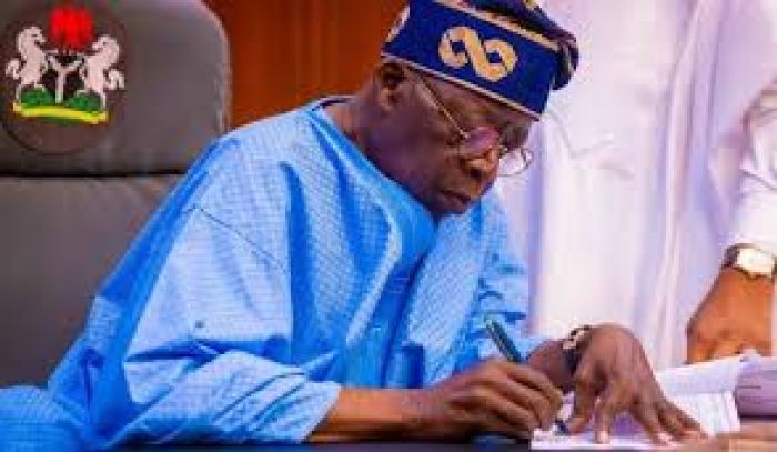 [STATE HOUSE PRESS RELEASE] President Tinubu Establishes Comprehensive Economic Coordination and Planning System for Nigeria