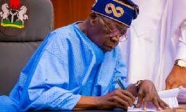 FULL LIST: Bisi Akande, Wole Olanipekun… Tinubu appoints governing councils for tertiary institutions