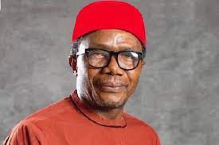 [OPINION] Hunger protests: Igbo silence is a protest - Law Mefor